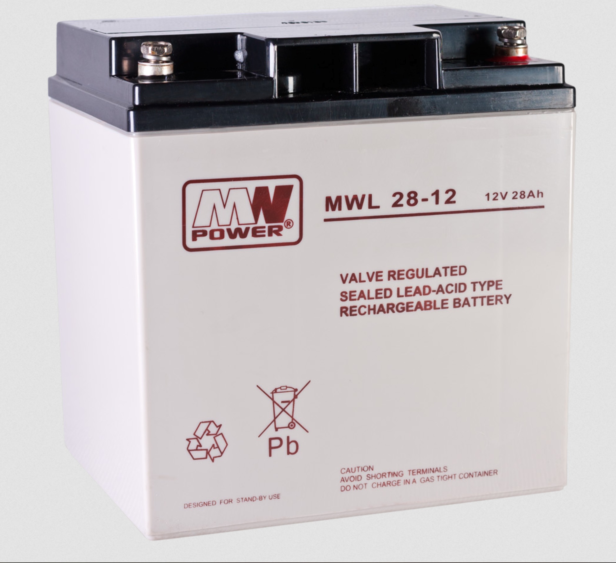 Premium Batterie MW-Power AGM Batterie MWL 28-12 VRLA 12V 28Ah (C20) Long Life Golftrolley