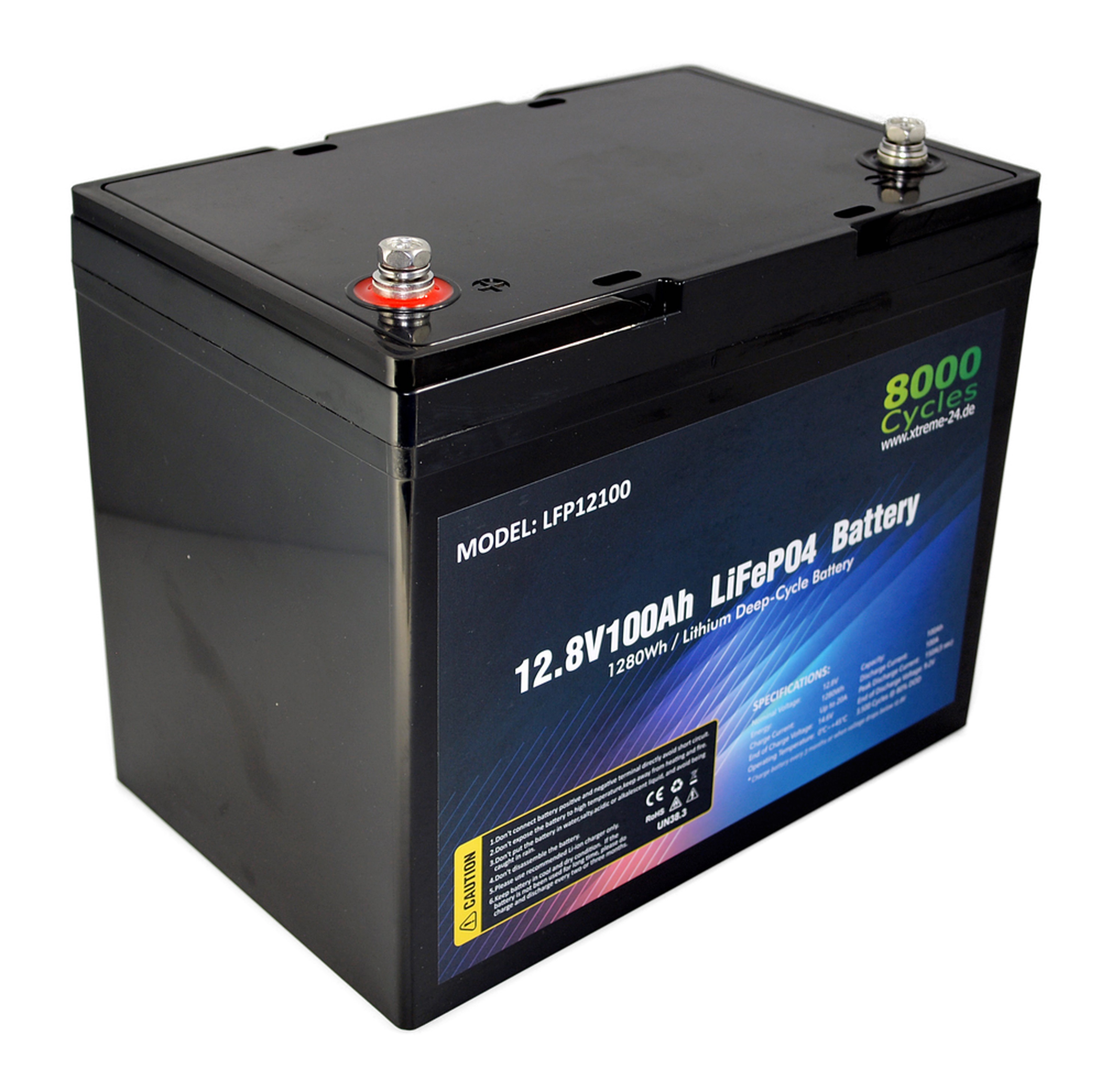 LifePO4 12V 100Ah Lithium Eisenphosphat Akkumulator mit Batteriemanagementsystem 8000Cycles